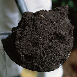 bulk-soil-spreading bulk soil spreading services - norcal ag service - delivery to northern and central california