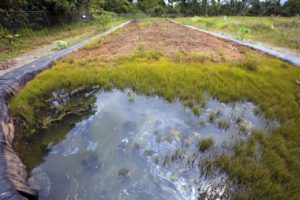 what-is-bioretention-soil | norcal ag service