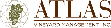 Atlas Vinyard Management